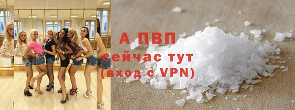соль ск Алексин