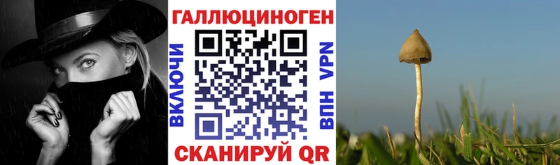 Псилоцибиновые грибы мицелий  купить  сайты  Спасск 